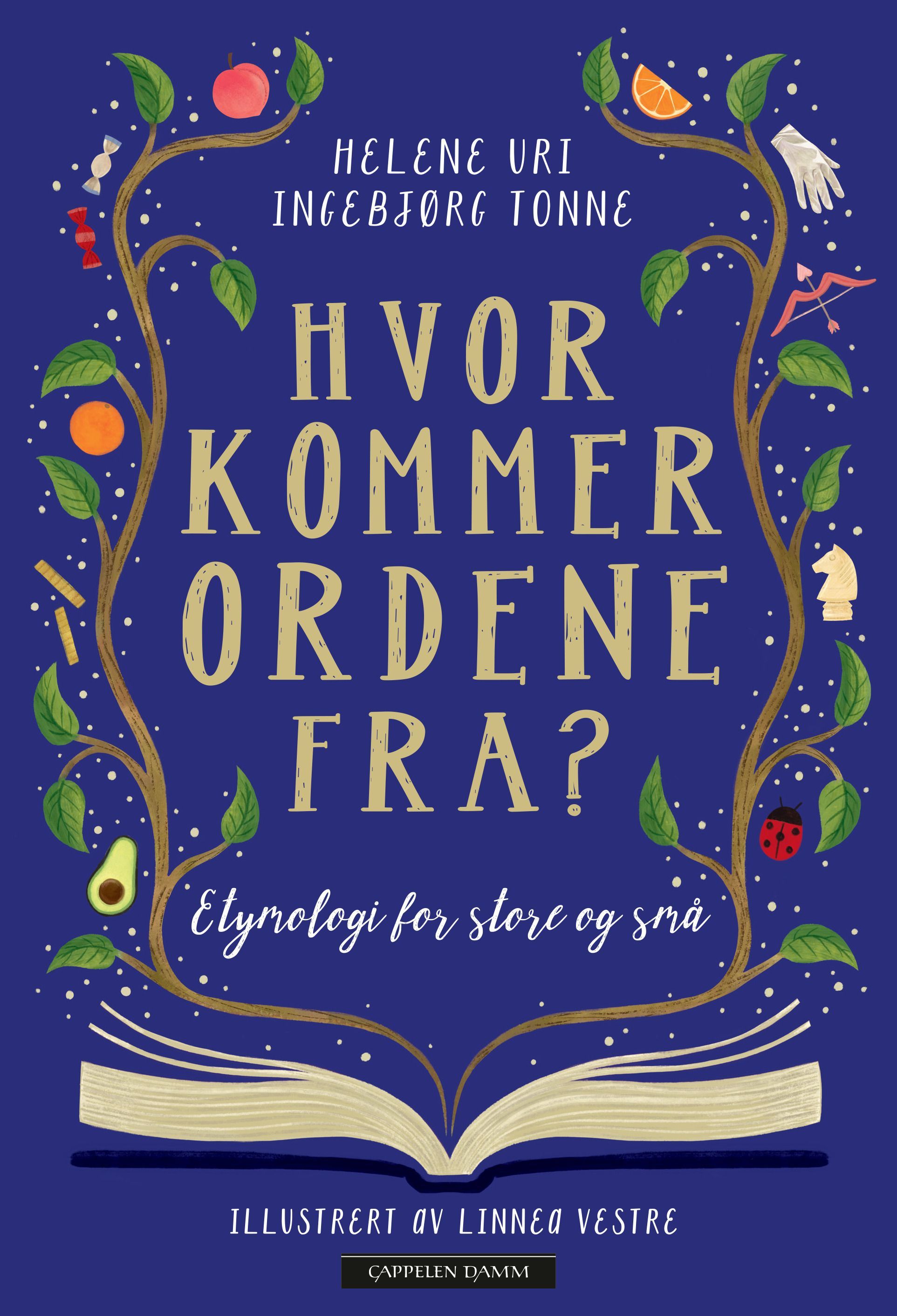 Hvor kommer ordene fra? : etymologi for store og små