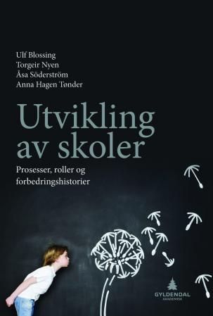 Utvikling av skoler : prosesser, roller og forbedringshistorier