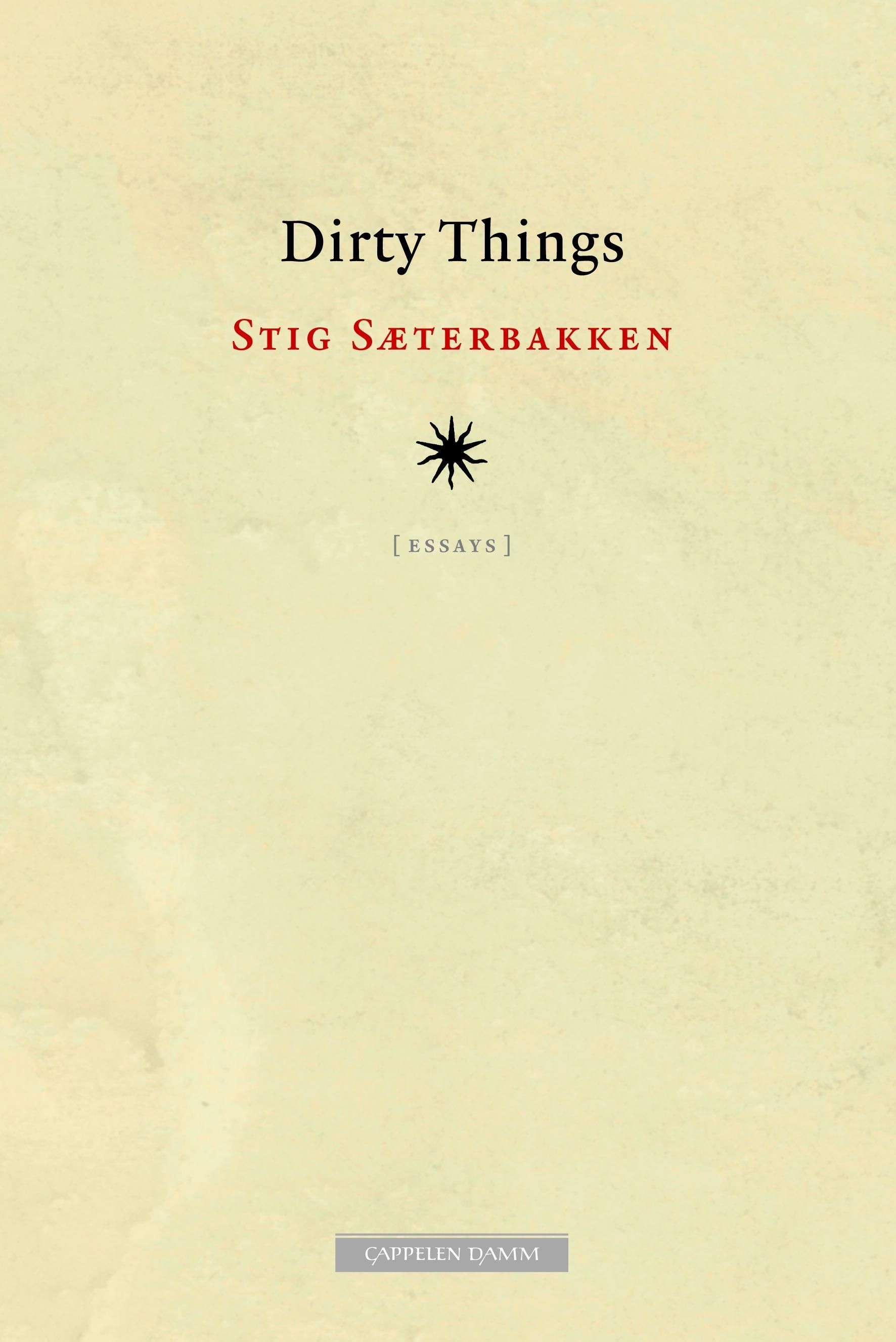 Dirty things : essays