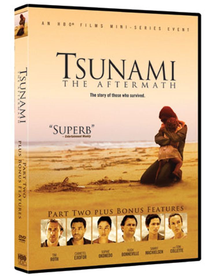 Tsunami : the aftermath