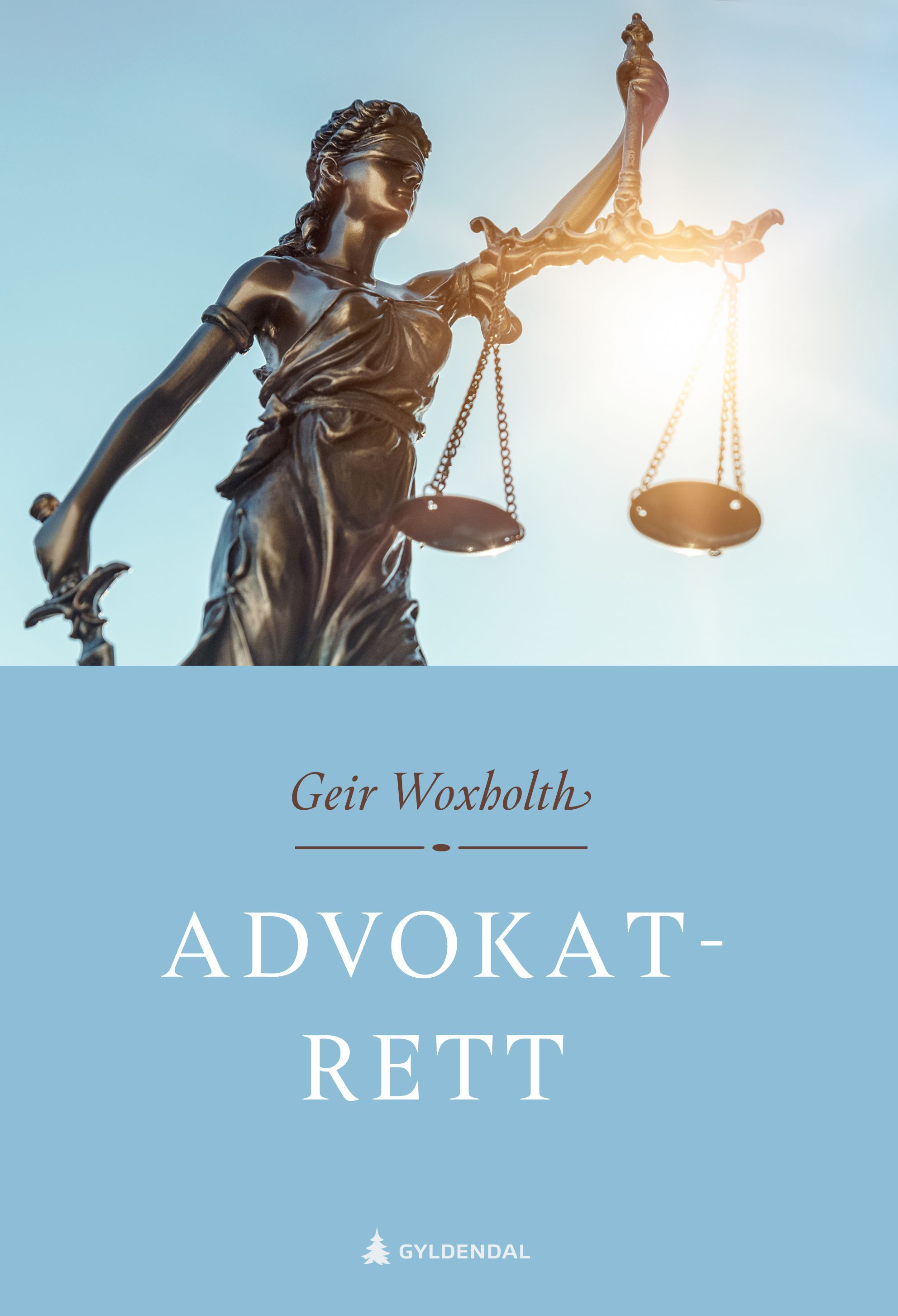 Advokatrett : advokatloven, advokatforskriften, regler for god advokatskikk (RGA), profesjonsansvaret og kontraktsrettslige regler mellom advokat og klient