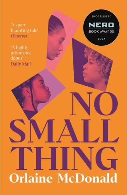 No Small Thing : 'One of the best debut novels I’ve read in recent years' Bernardine Evaristo