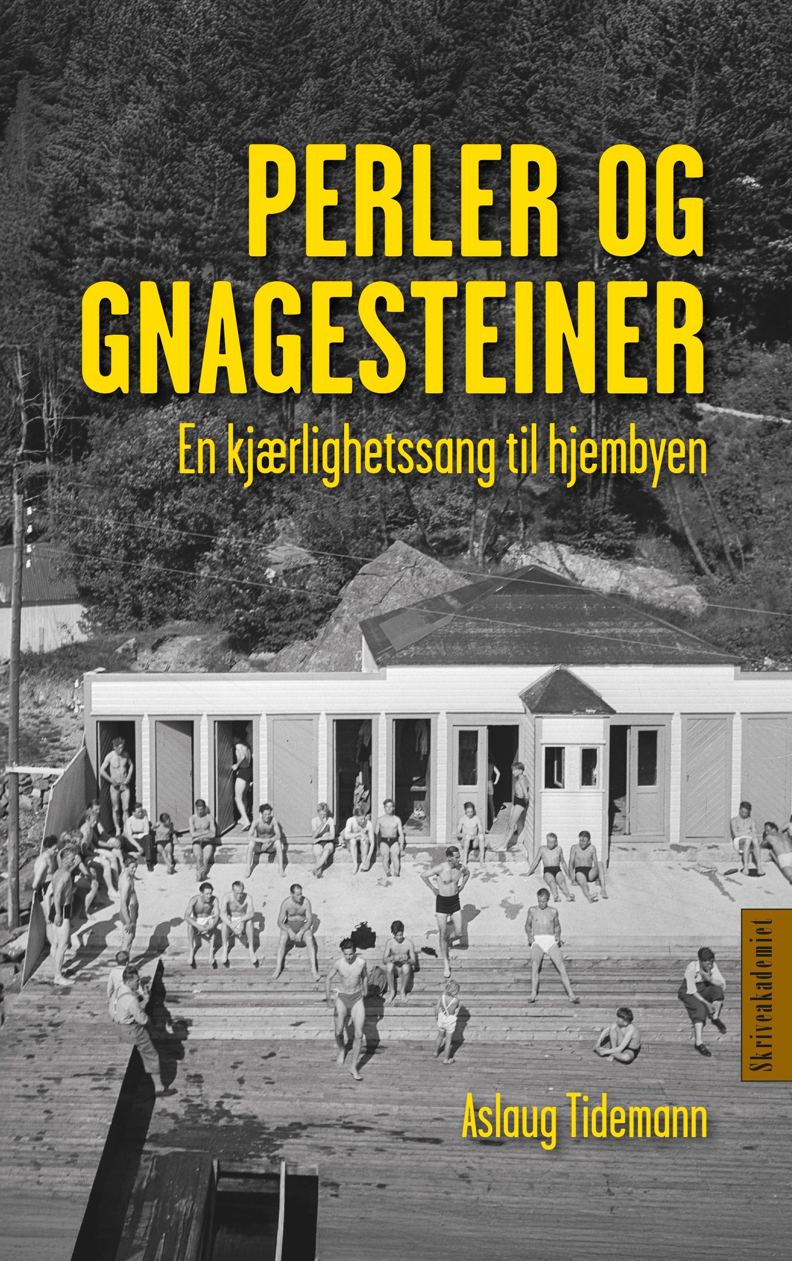 Perler og gnagesteiner : en kjærlighetssang til hjembyen