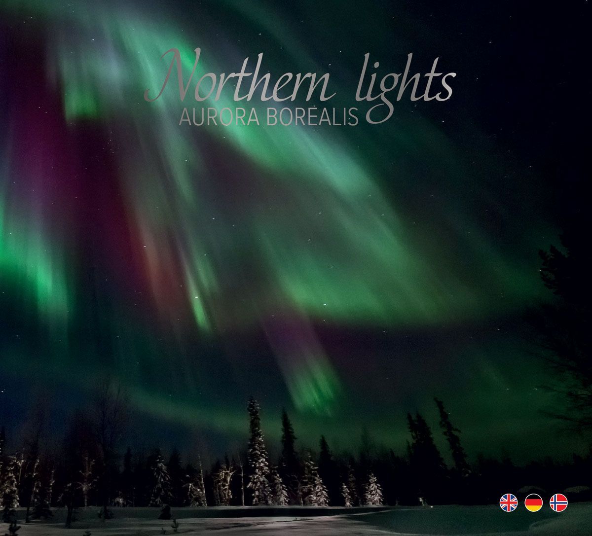 Northern lights : aurora borealis