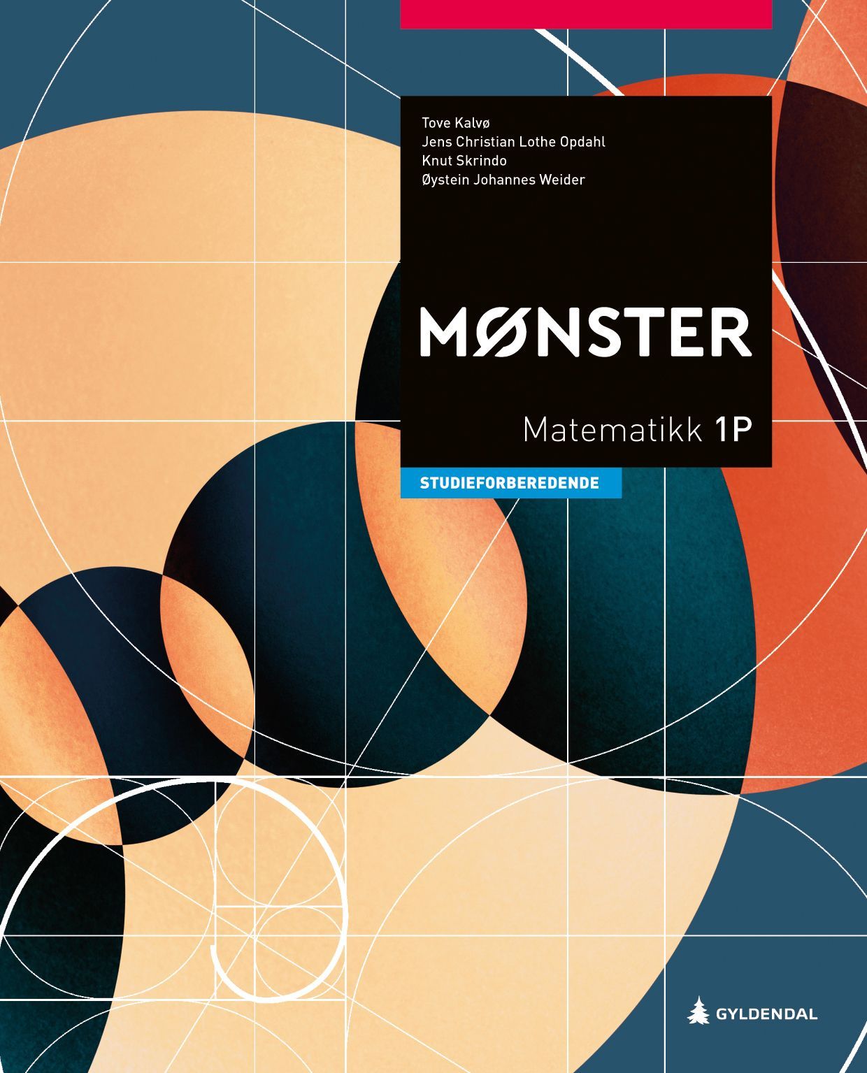 Mønster : matematikk 1P : studieforberedende utdanningsprogram