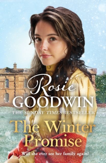 Forsidebilde av The Winter Promise : A perfect cosy Victorian saga from the Sunday Times bestselling author