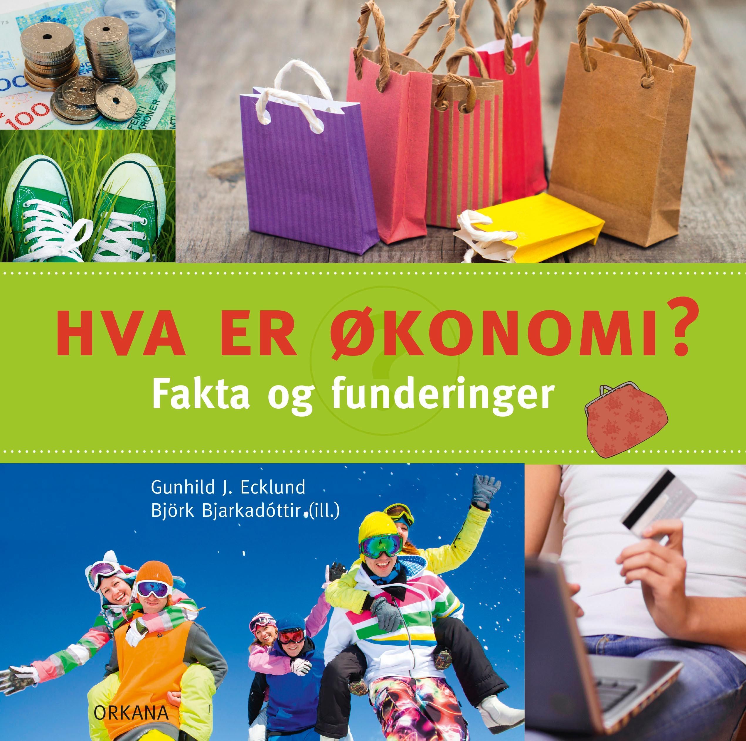 Hva er økonomi? : fakta og funderinger