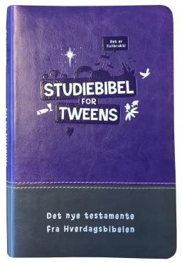 Studiebibel for tweens : Det nye testamente fra Hverdagsbibelen