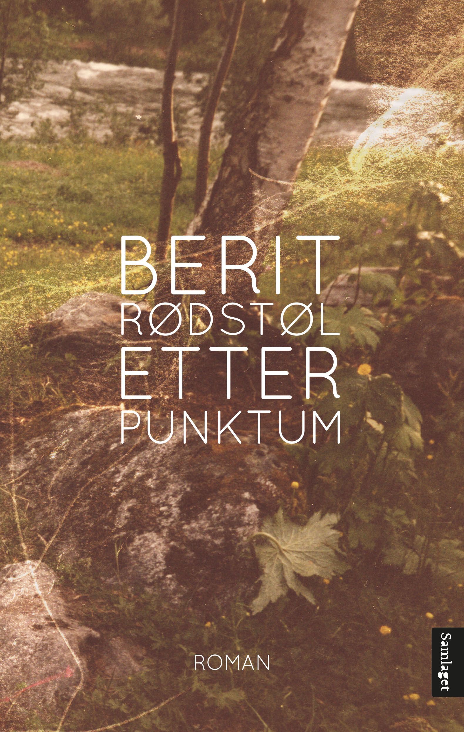 Etter punktum : roman