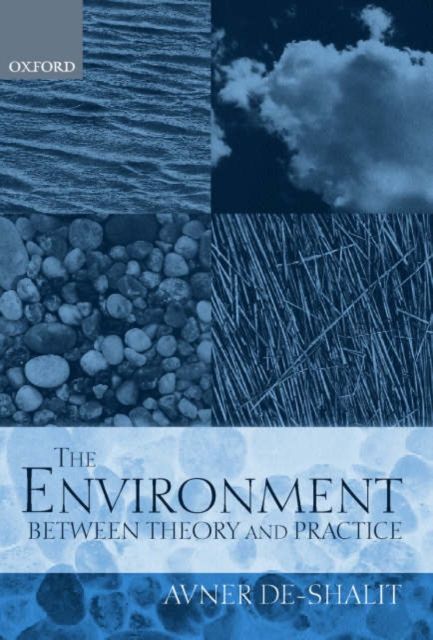 The Environment Between Theory and Practice