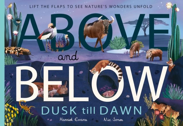 Above and Below: Dusk till Dawn : Lift the flaps to see nature's wonders unfold