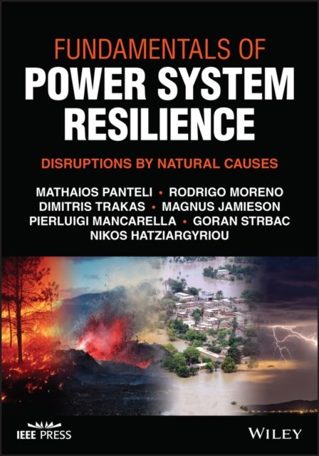 Fundamentals of Power System Resilience: Disruptio ns by Natural Causes