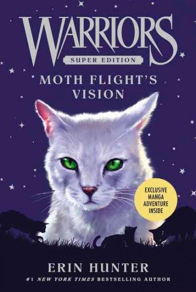 Moth flight's vision