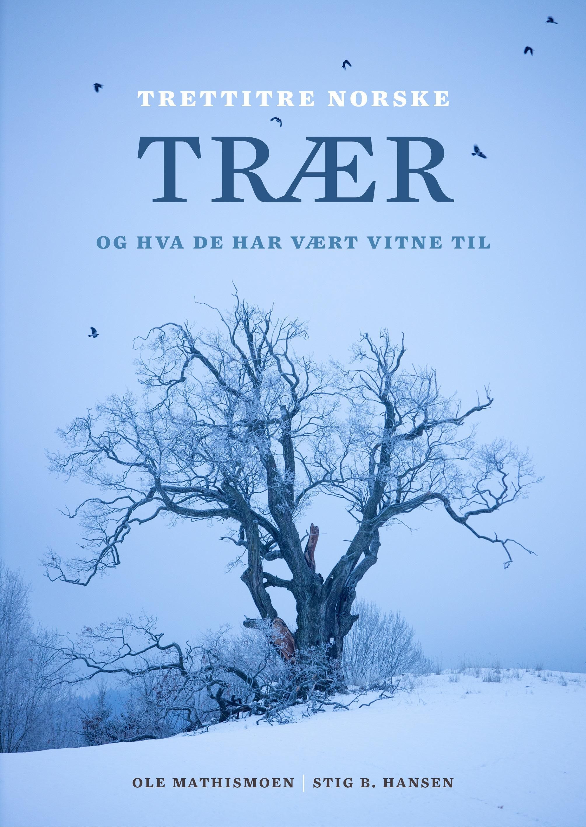 Trettitre norske trær : og hva de har vært vitne til