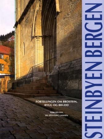 Steinbyen Bergen : fortellingen om brostein, bygg og brudd