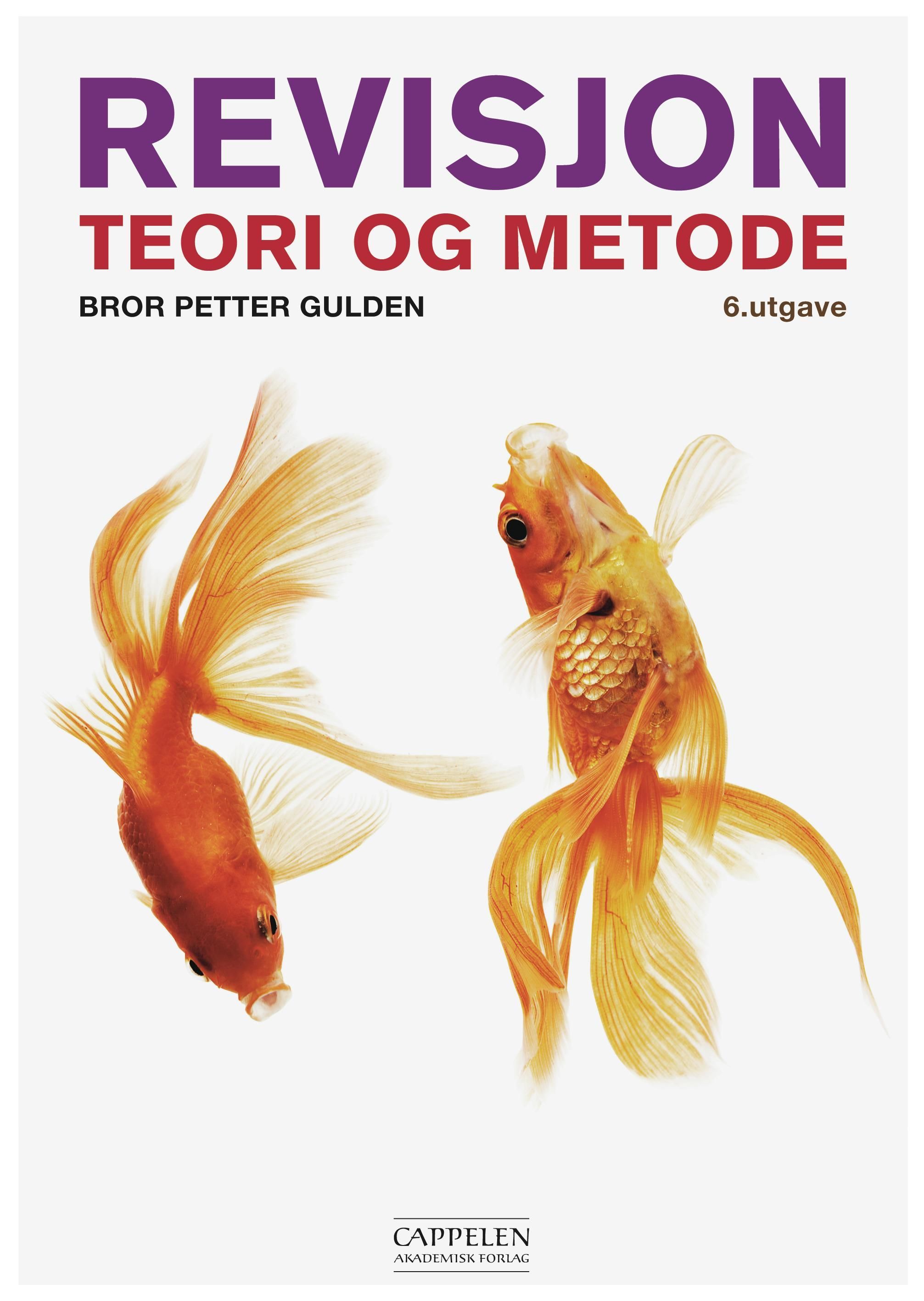 Revisjon : teori og metode