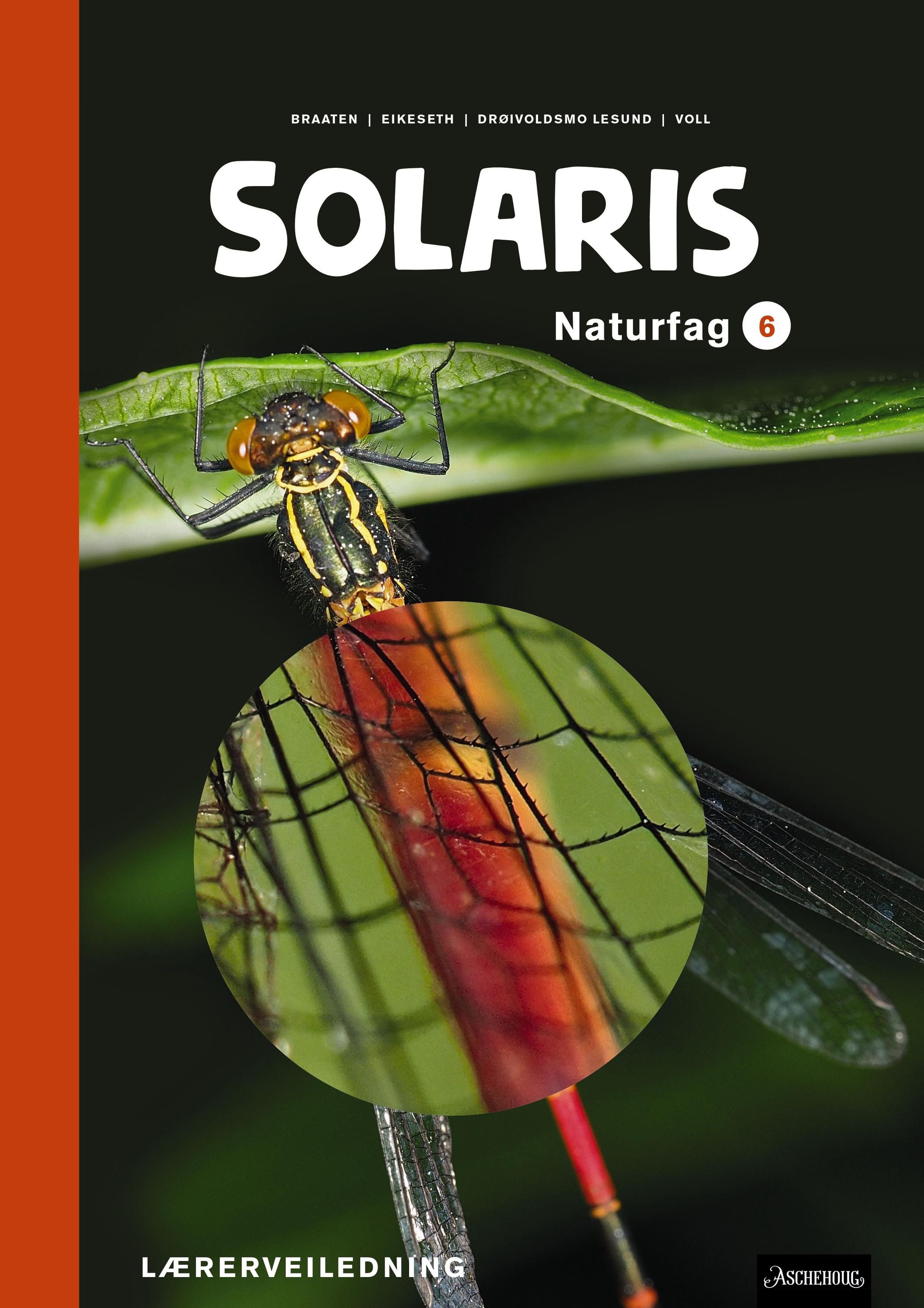 Solaris : naturfag 6. Lærerveiledning