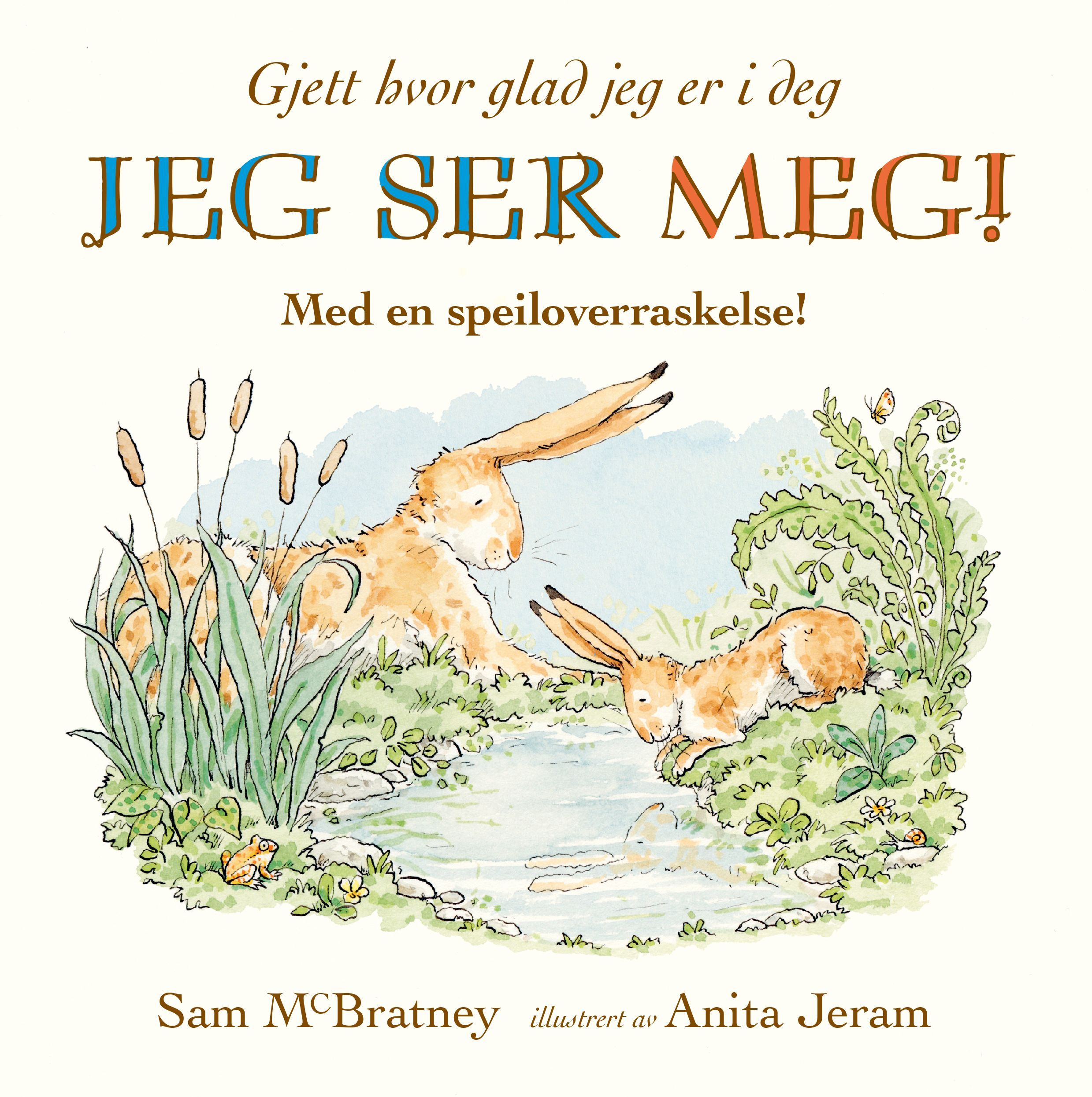 Jeg ser meg! : med en speiloverraskelse