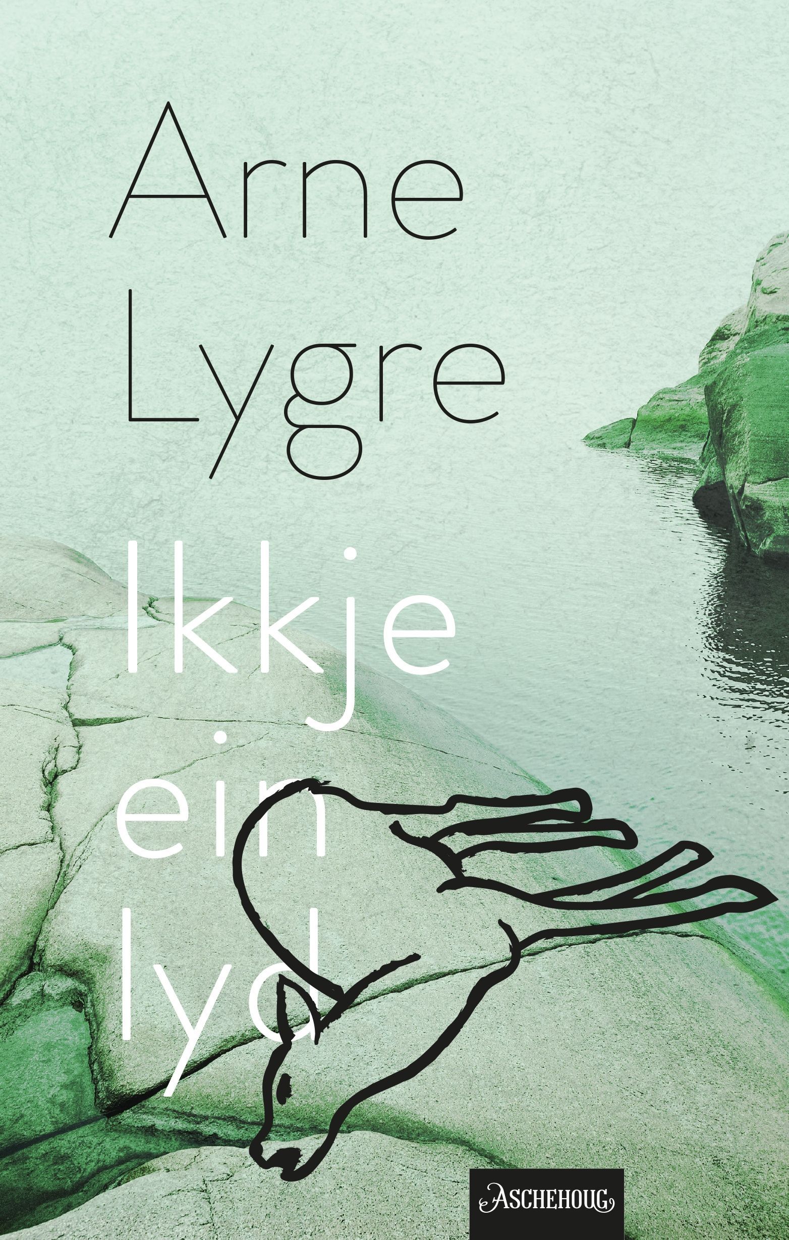 Ikkje ein lyd : skodespel