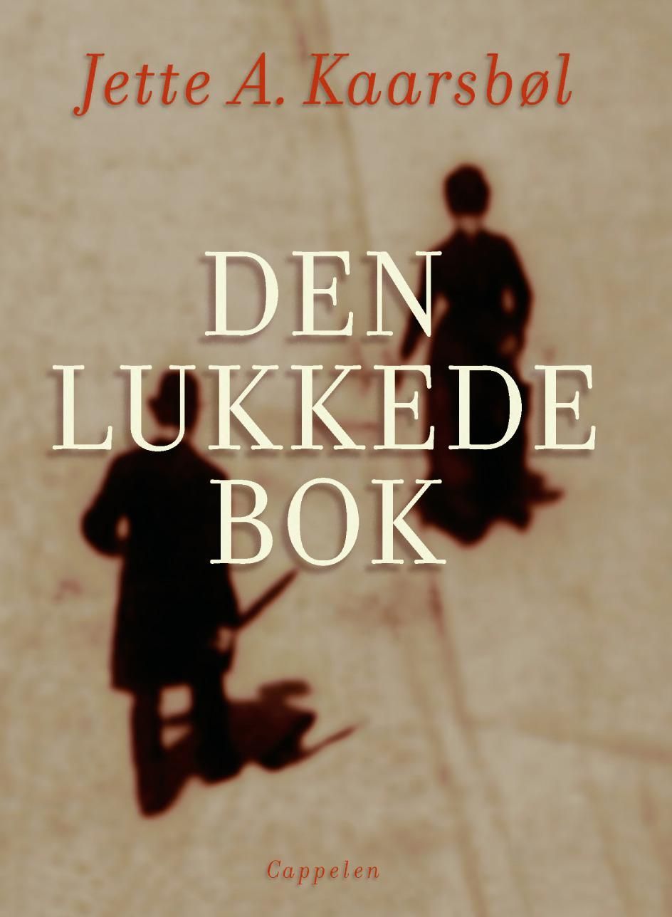 Den lukkede bok : roman