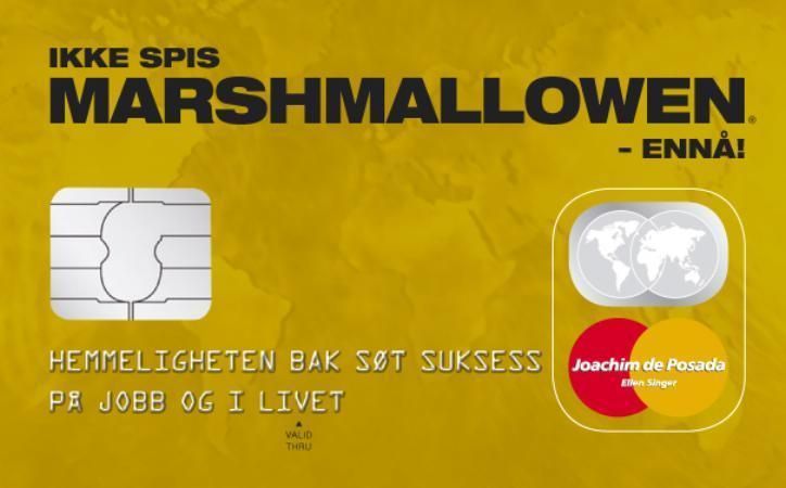 Forsidebilde av Ikke spis marshmallowen - ennå! : hemmeligheten bak søt suksess på jobben og i livet