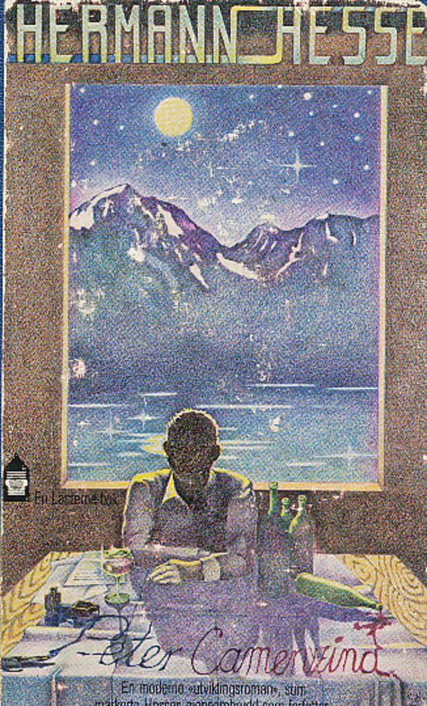 Peter Camenzind : fortelling