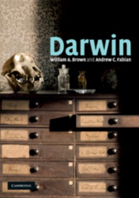 Darwin