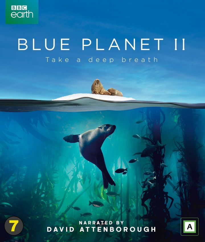 Blue planet II : take a deep breath