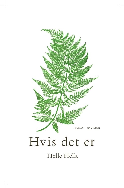 Hvis det er : roman