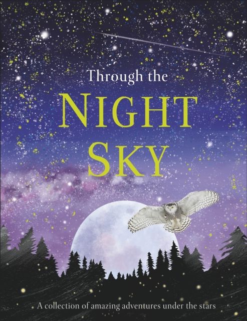 Through the Night Sky : A collection of amazing adventures under the stars