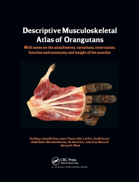 Photographic and Descriptive Musculoskeletal Atlas of Orangutans : with notes on the attachments, variations, innervations, function and synonymy and weight of the muscles