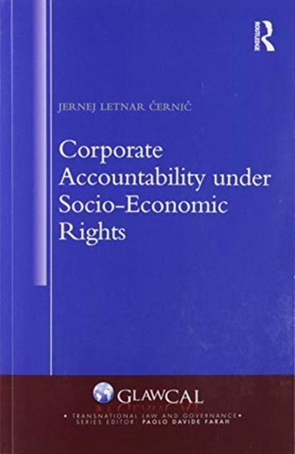 Corporate Accountability under Socio-Economic Rights