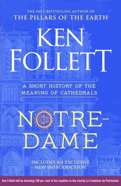 Notre-Dame : A Short History of the Meaning of Cathedrals