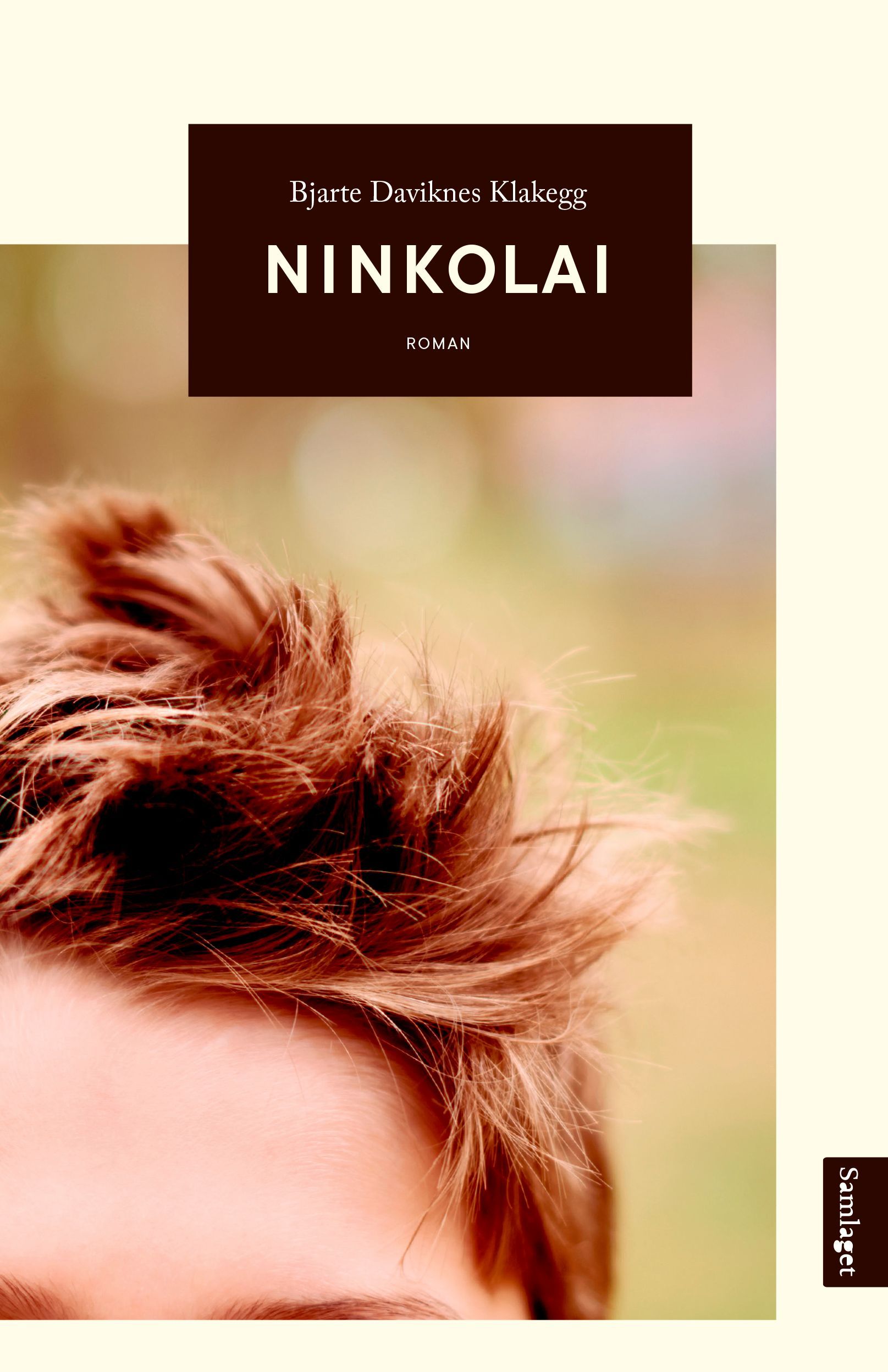 Ninkolai : roman
