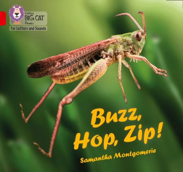 Buzz, Hop, Zip! : Band 02a/Red a