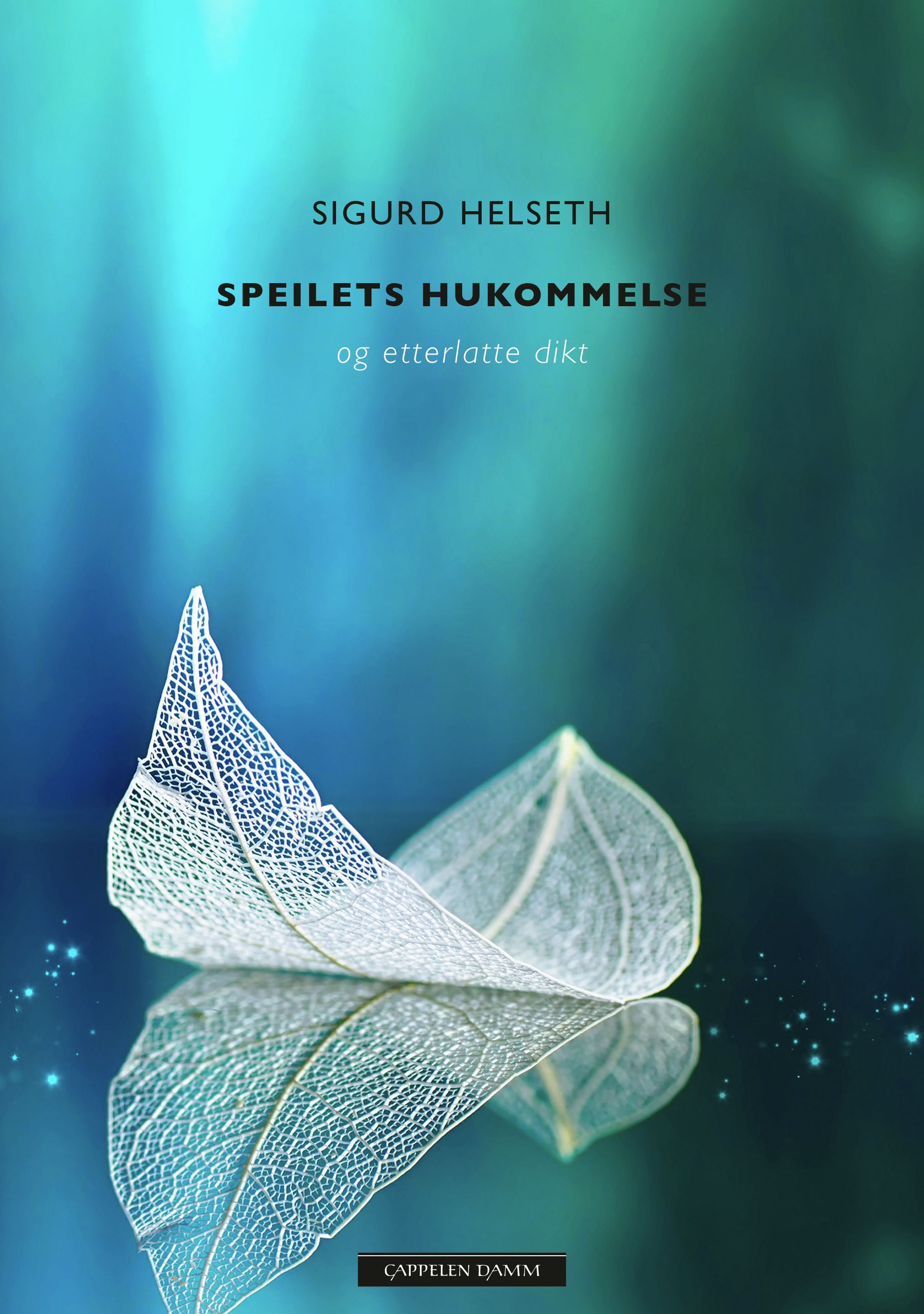 Speilets hukommelse : og etterlatte dikt