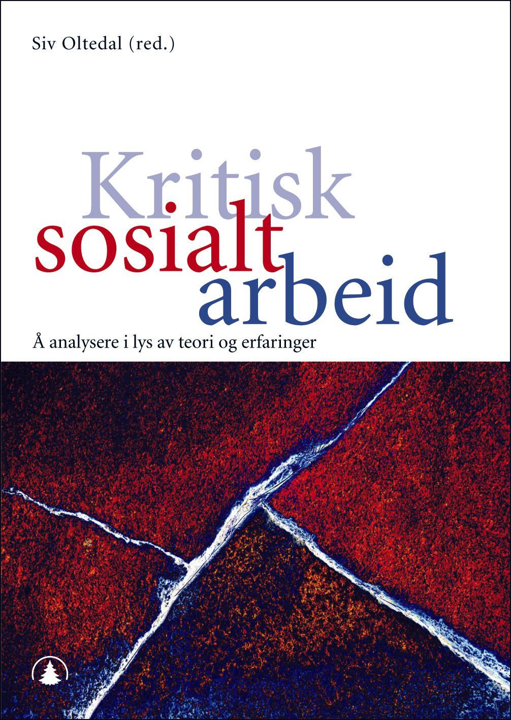 Kritisk sosialt arbeid : å analysere i lys av teori og erfaringer