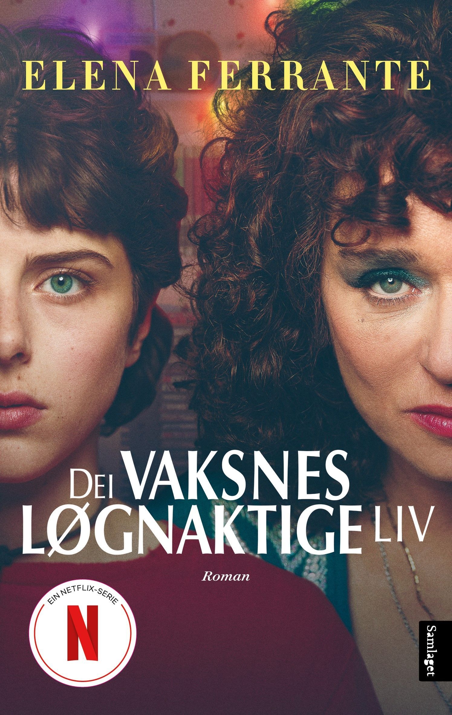 Dei vaksnes løgnaktige liv : roman