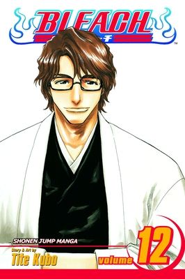 Bleach. vol. 12. Flower on the precipice