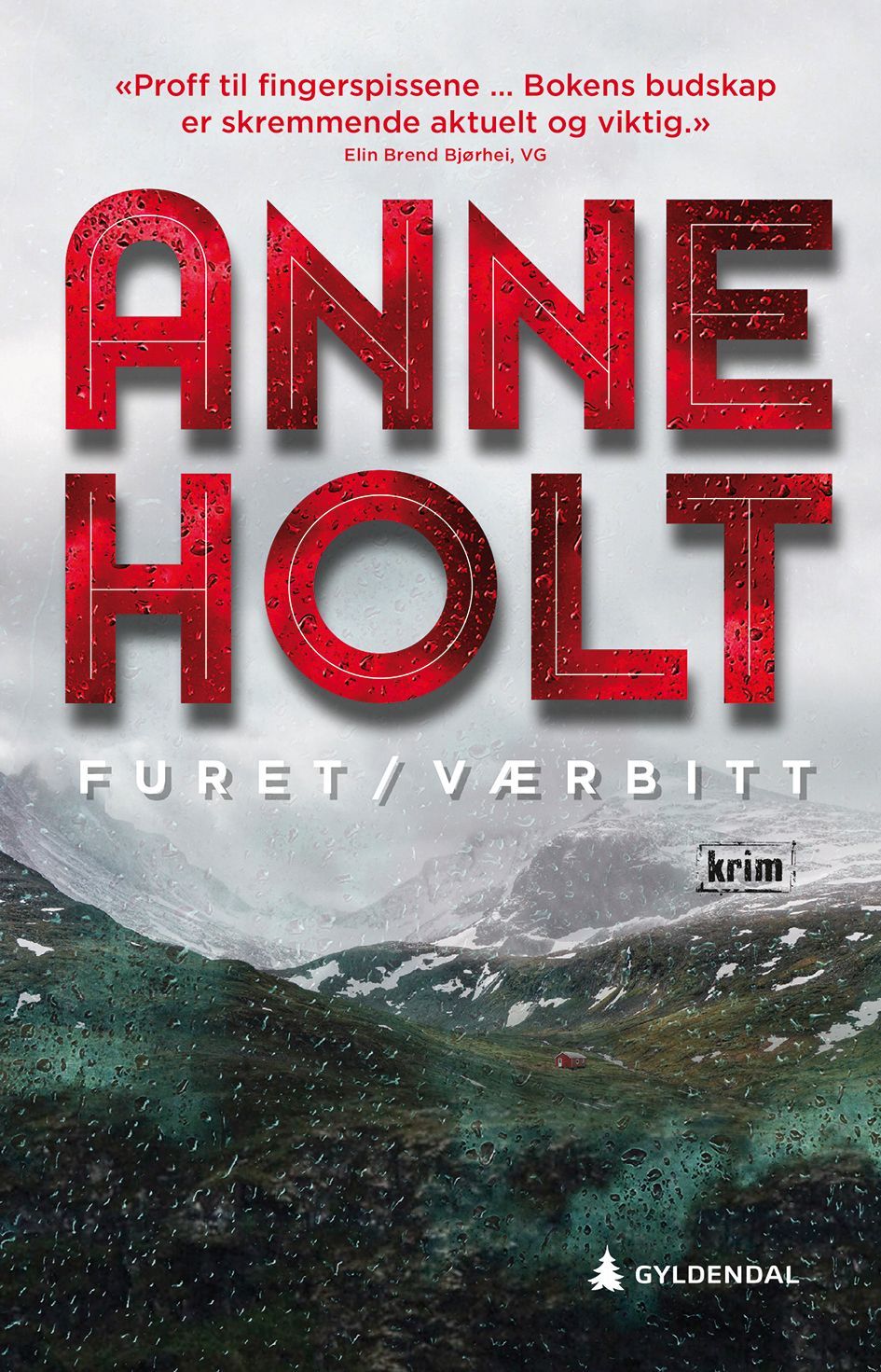 Furet/værbitt : Selma Falcks andre store sak : kriminalroman