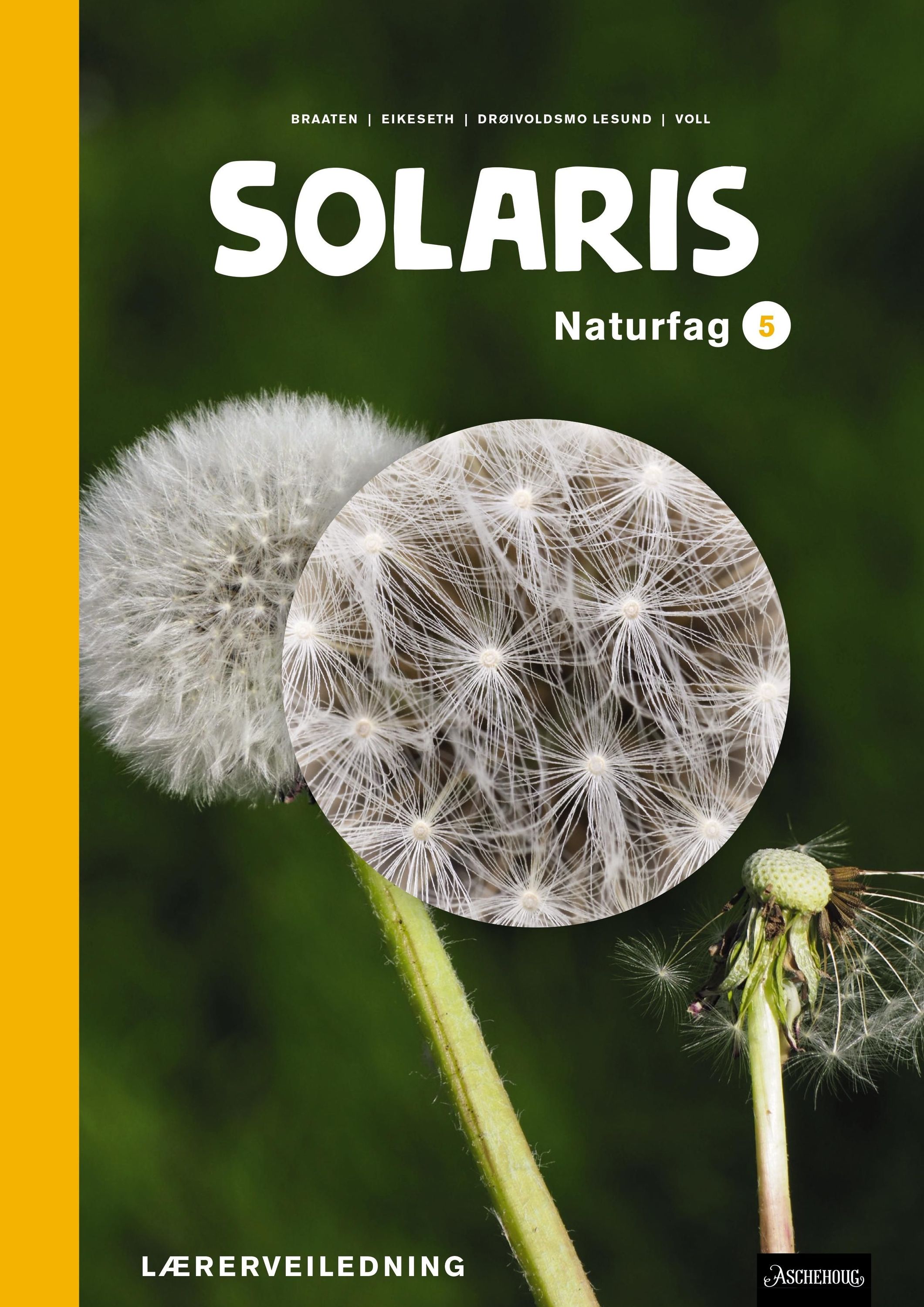 Solaris : naturfag 5. Lærerveiledning