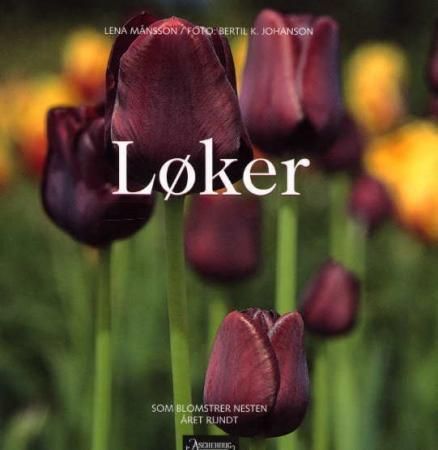 Løker : som blomstrer nesten året rundt