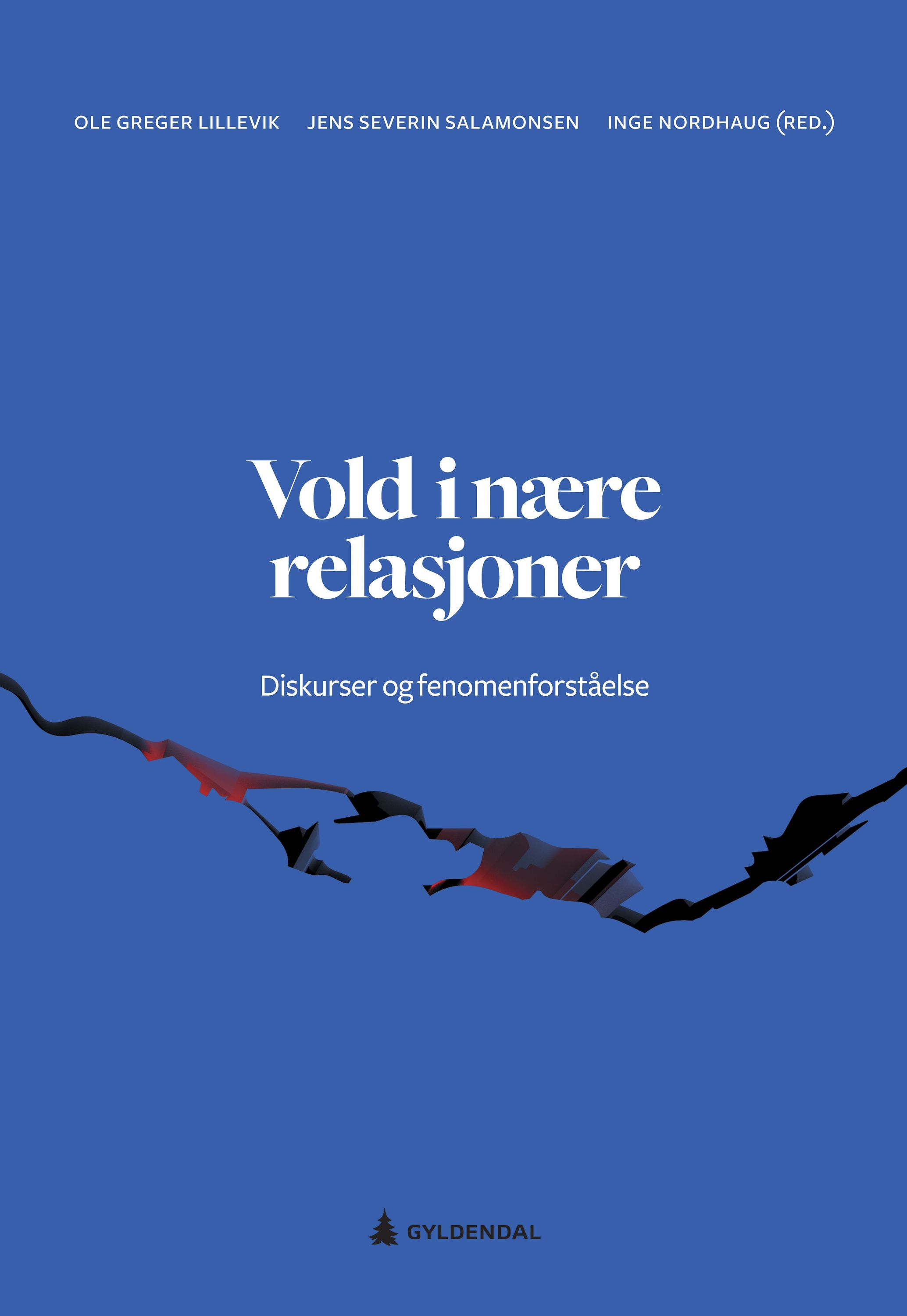 Forsidebilde av Vold i nære relasjoner : diskurser og fenomenforståelse