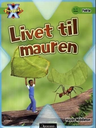 Livet til mauren