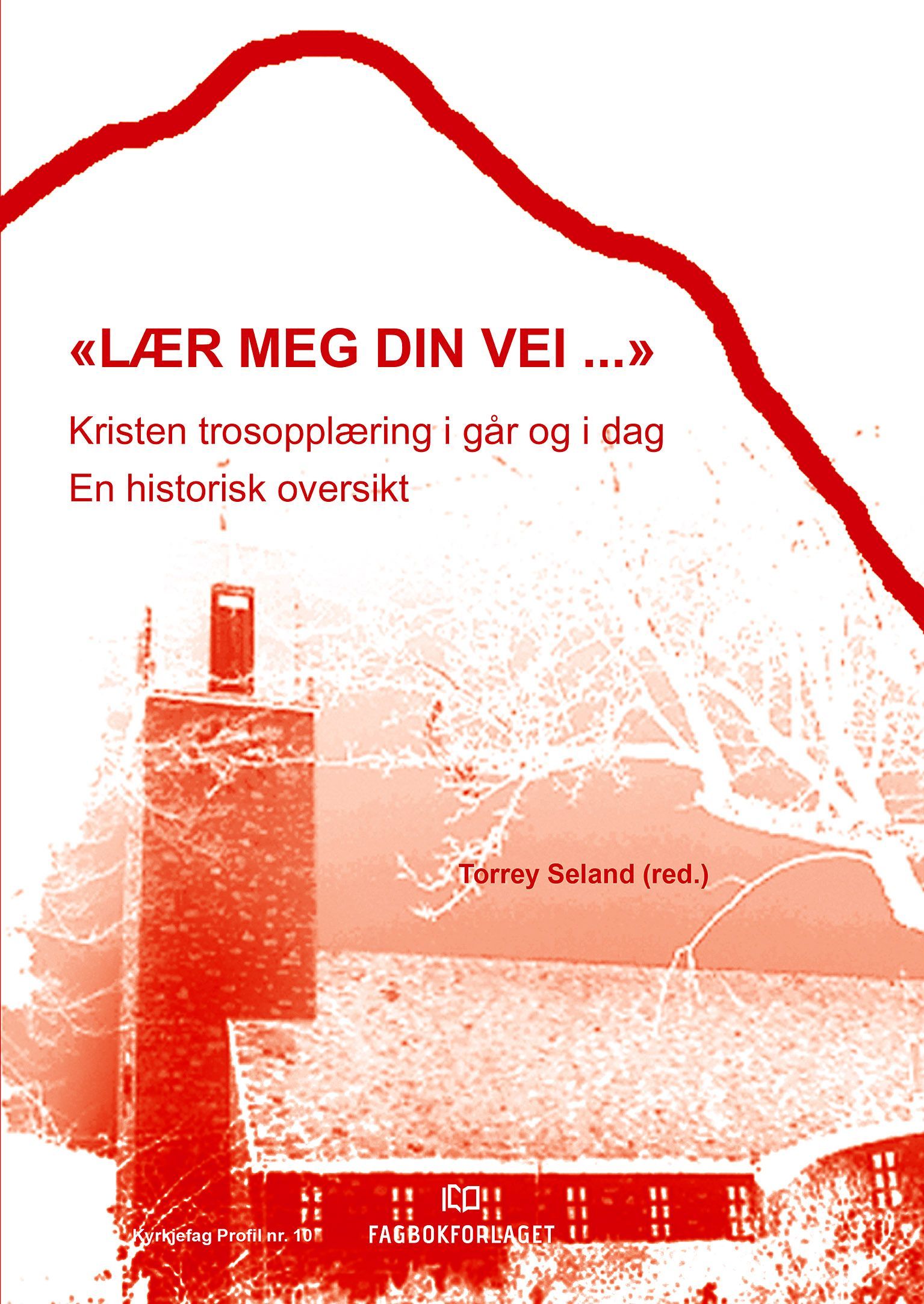 Lær meg din vei : kristen trosopplæring i går og i dag : en historisk oversikt