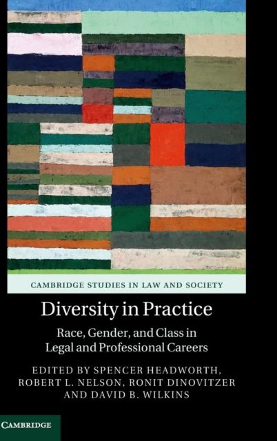 Diversity in Practice : Race, Gender, and Class in Legal and Professional Careers