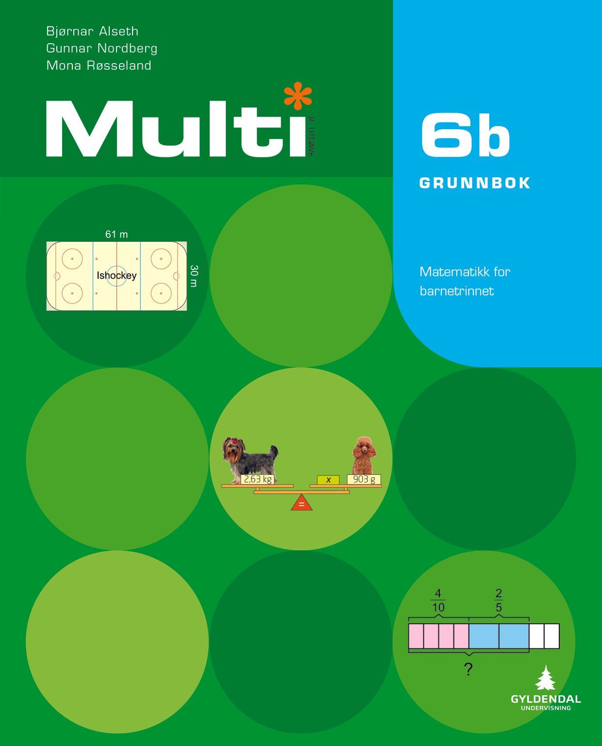 Multi 6b : grunnbok