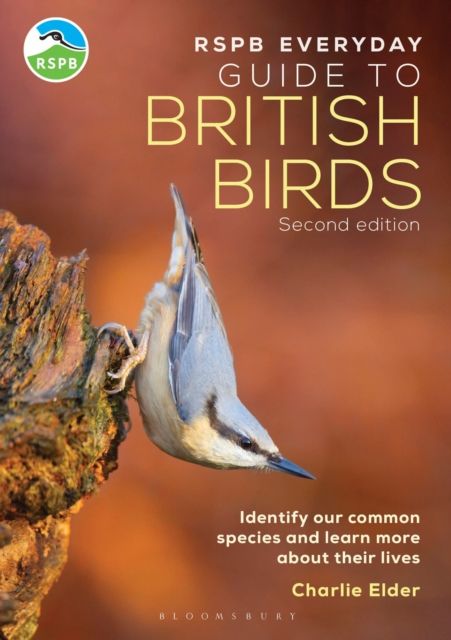 RSPB Everyday Guide to British Birds : Identify our common species and learn more about their lives