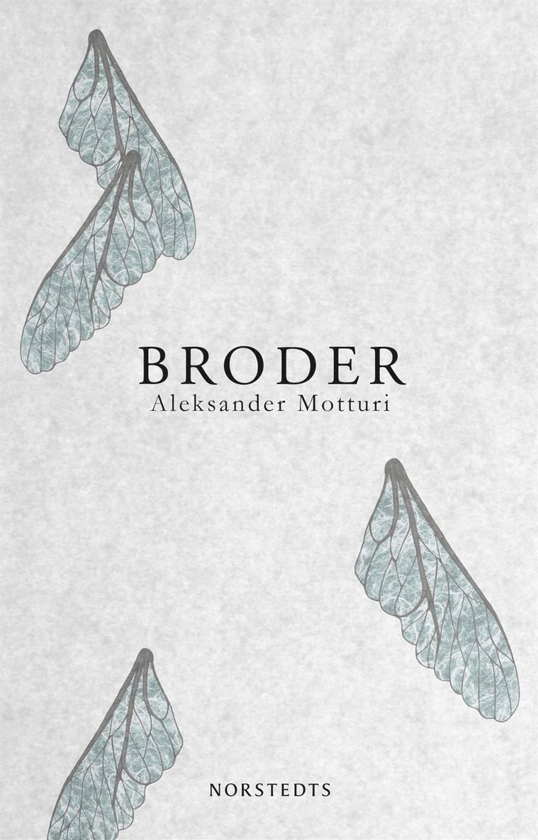 Broder