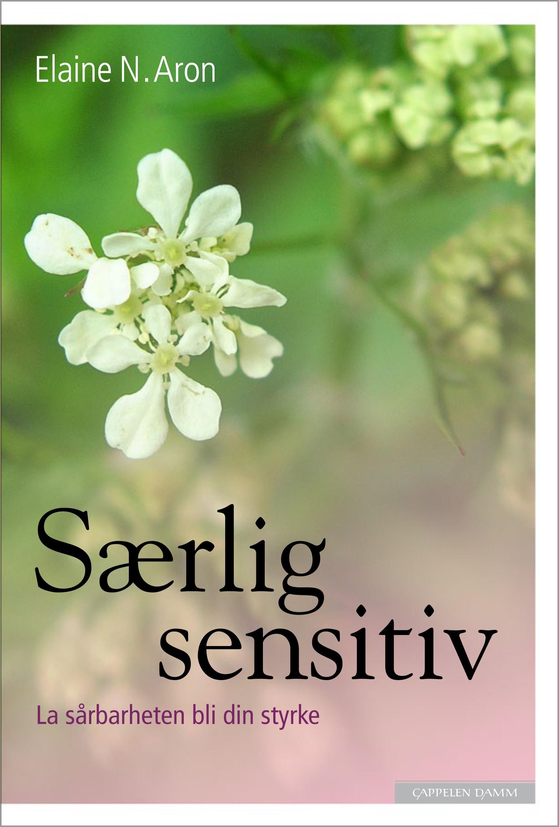 Særlig sensitiv : la sårbarheten bli din styrke